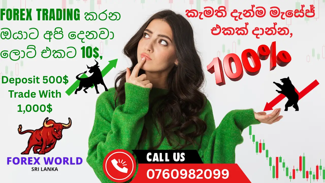 blog-image